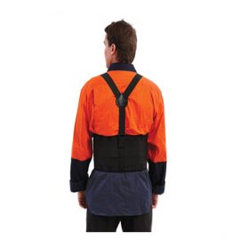 ProChoice Back Support Belt